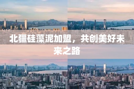 北疆硅藻泥加盟，共创美好未来之路