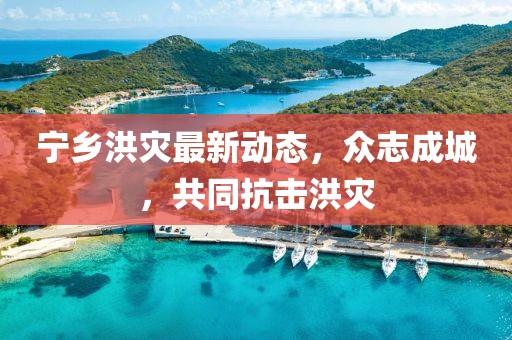 宁乡洪灾最新动态，众志成城，共同抗击洪灾