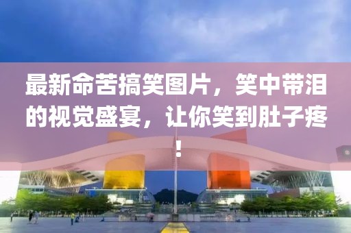 最新命苦搞笑图片，笑中带泪的视觉盛宴，让你笑到肚子疼！
