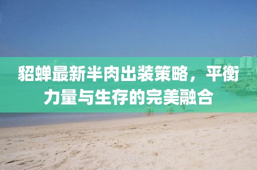 貂蝉最新半肉出装策略，平衡力量与生存的完美融合
