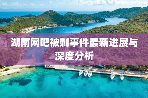 湖南网吧被刺事件最新进展与深度分析