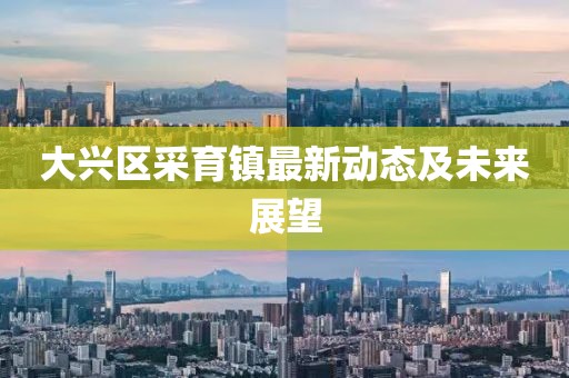 大兴区采育镇最新动态及未来展望