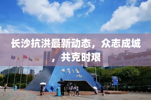 长沙抗洪最新动态，众志成城，共克时艰