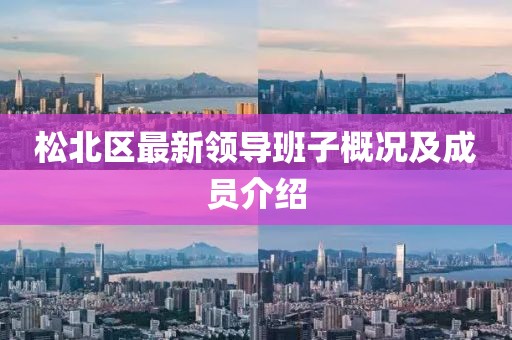 松北区最新领导班子概况及成员介绍
