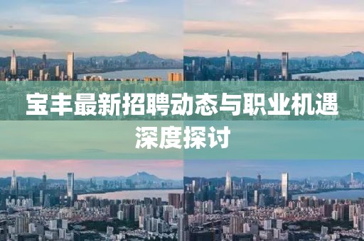 宝丰最新招聘动态与职业机遇深度探讨