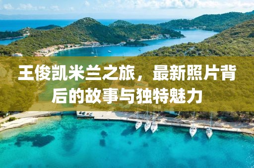 王俊凯米兰之旅，最新照片背后的故事与独特魅力