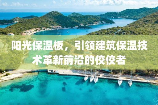 阳光保温板，引领建筑保温技术革新前沿的佼佼者