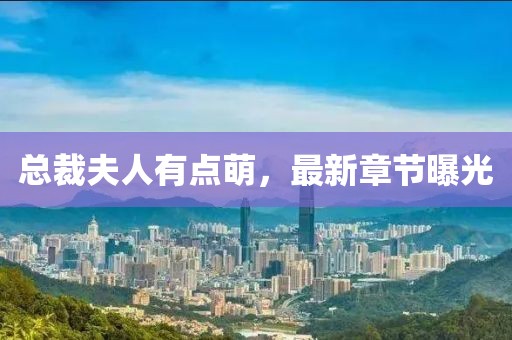 总裁夫人有点萌，最新章节曝光