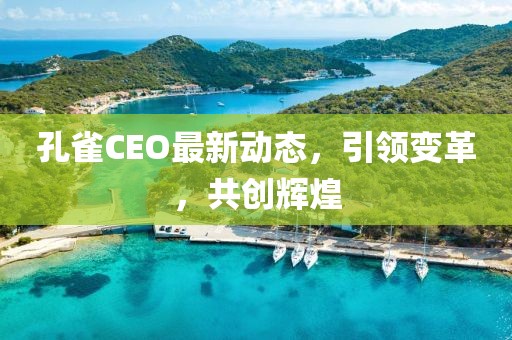 孔雀CEO最新动态，引领变革，共创辉煌