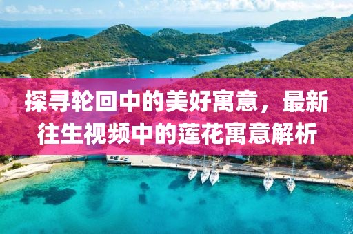 探寻轮回中的美好寓意，最新往生视频中的莲花寓意解析