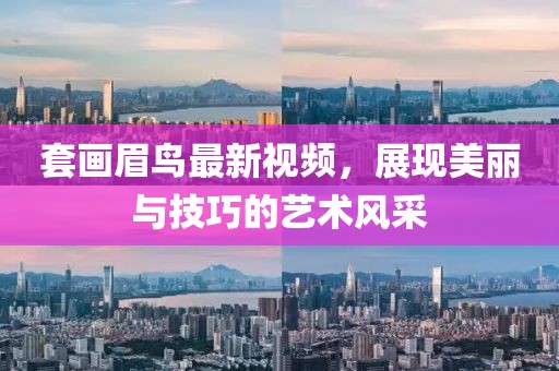 套画眉鸟最新视频，展现美丽与技巧的艺术风采