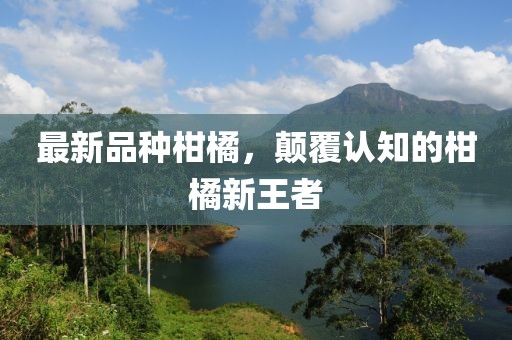 最新品种柑橘，颠覆认知的柑橘新王者