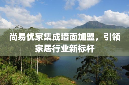 尚易优家集成墙面加盟，引领家居行业新标杆