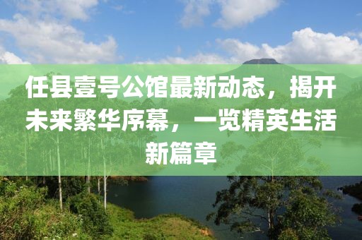 任县壹号公馆最新动态，揭开未来繁华序幕，一览精英生活新篇章