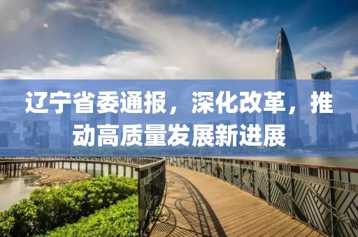 辽宁省委通报，深化改革，推动高质量发展新进展