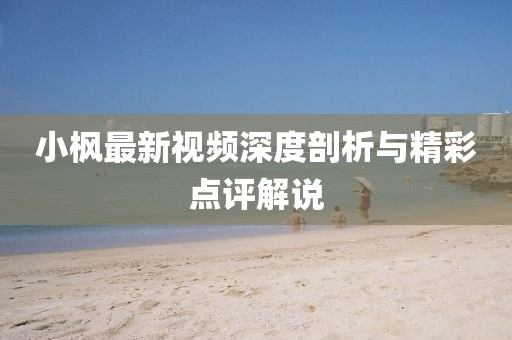 小枫最新视频深度剖析与精彩点评解说
