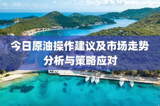 今日原油操作建议及市场走势分析与策略应对