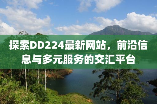 探索DD224最新网站，前沿信息与多元服务的交汇平台