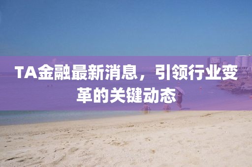 TA金融最新消息，引领行业变革的关键动态