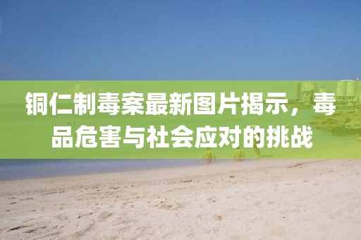 铜仁制毒案最新图片揭示，毒品危害与社会应对的挑战