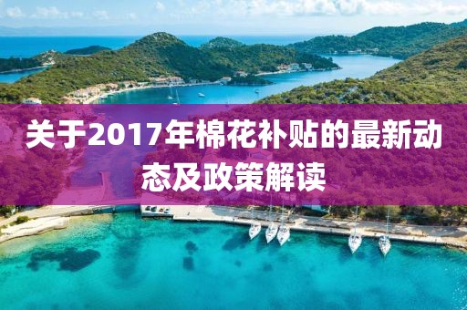 关于2017年棉花补贴的最新动态及政策解读