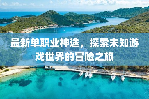 最新单职业神途，探索未知游戏世界的冒险之旅