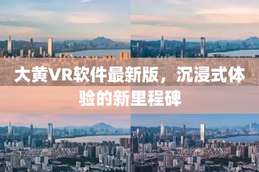 大黄VR软件最新版，沉浸式体验的新里程碑