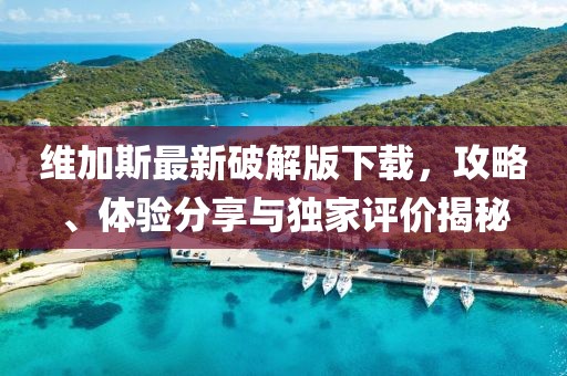 维加斯最新破解版下载，攻略、体验分享与独家评价揭秘
