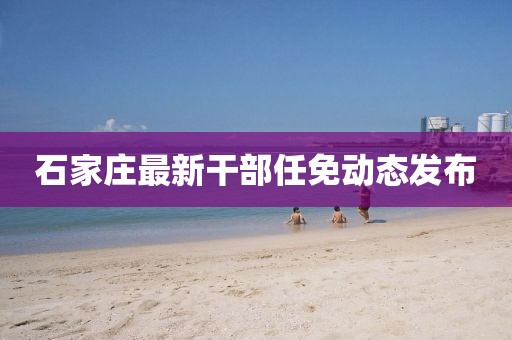 惊鸿 第11页