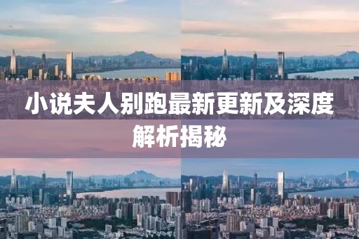 小说夫人别跑最新更新及深度解析揭秘