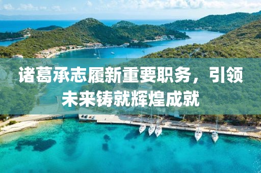 诸葛承志履新重要职务，引领未来铸就辉煌成就