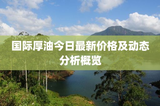国际厚油今日最新价格及动态分析概览