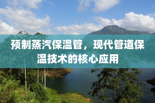 预制蒸汽保温管，现代管道保温技术的核心应用