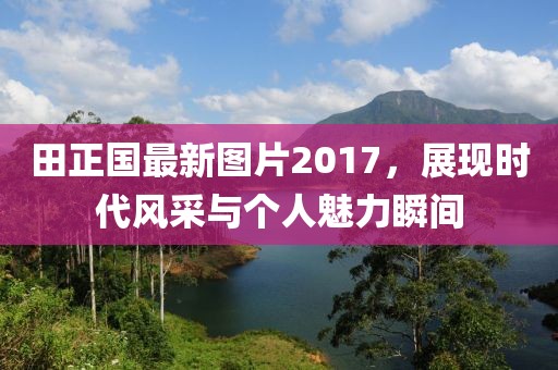 田正国最新图片2017，展现时代风采与个人魅力瞬间