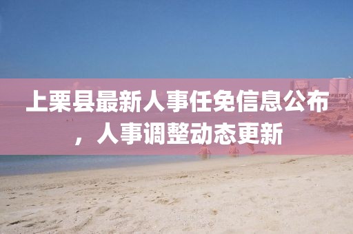 上栗县最新人事任免信息公布，人事调整动态更新