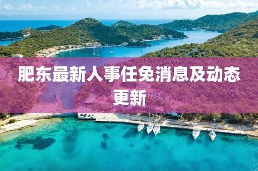 肥东最新人事任免消息及动态更新