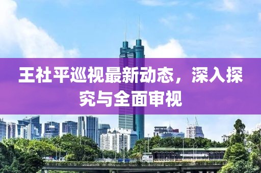 王社平巡视最新动态，深入探究与全面审视