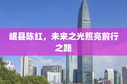 岷县陈红，未来之光照亮前行之路