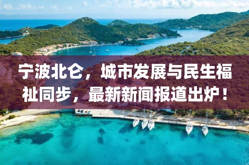冷荷 第13页