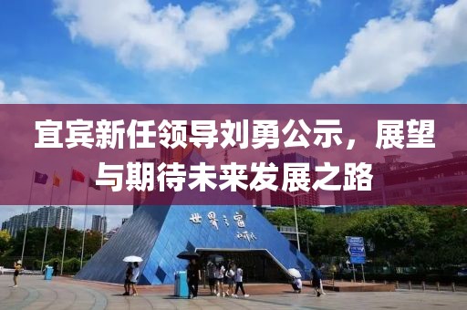 宜宾新任领导刘勇公示，展望与期待未来发展之路