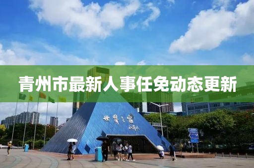 森碟 第11页