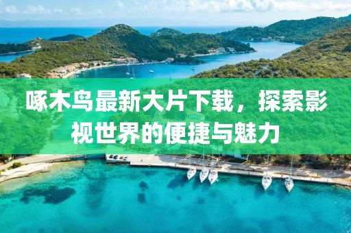 啄木鸟最新大片下载，探索影视世界的便捷与魅力