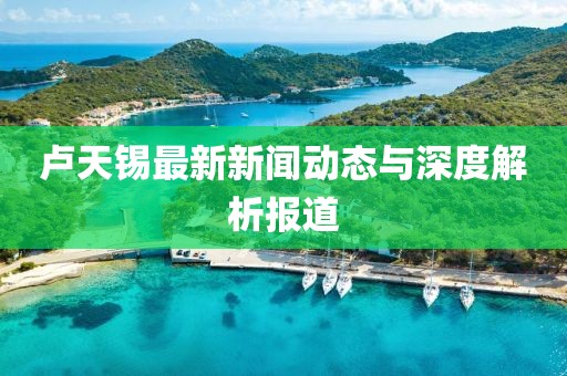 卢天锡最新新闻动态与深度解析报道