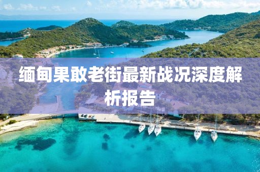 缅甸果敢老街最新战况深度解析报告