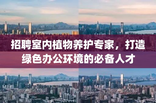 招聘室内植物养护专家，打造绿色办公环境的必备人才
