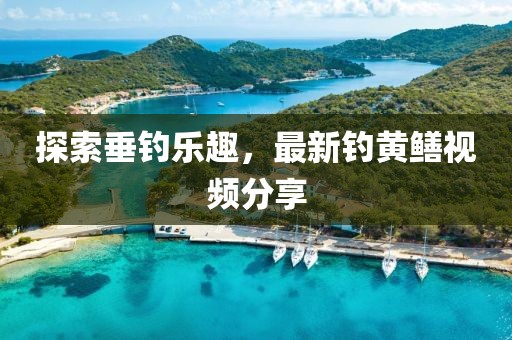探索垂钓乐趣，最新钓黄鳝视频分享