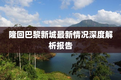 隆回巴黎新城最新情况深度解析报告