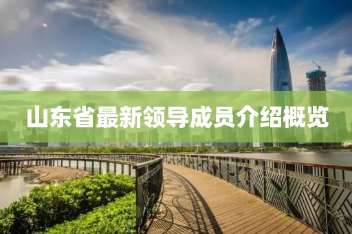山东省最新领导成员介绍概览