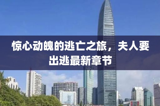 惊心动魄的逃亡之旅，夫人要出逃最新章节