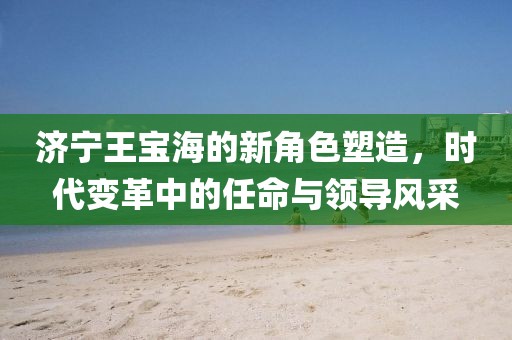 济宁王宝海的新角色塑造，时代变革中的任命与领导风采